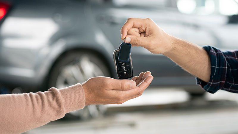 Hotel and Homestay Booking